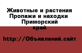 Животные и растения Пропажи и находки. Приморский край